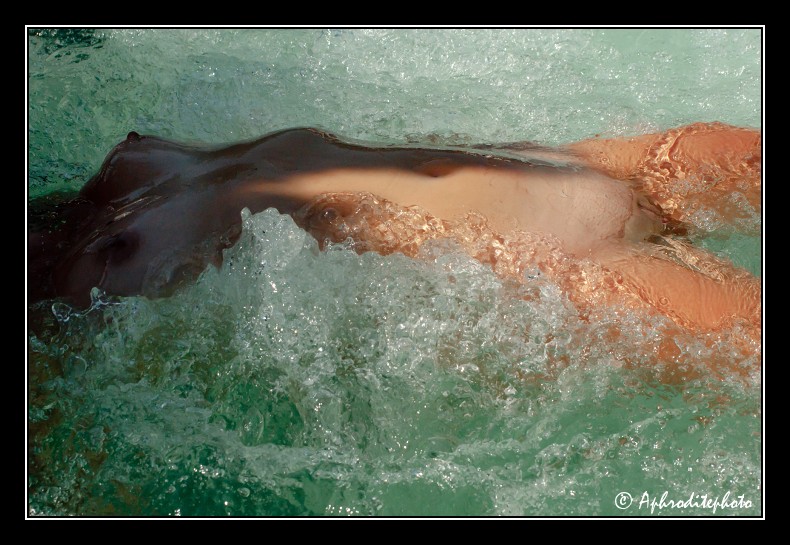 003 Une eau de cristal